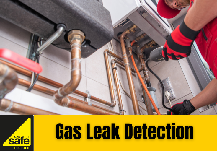 gas leak detection Dartford
